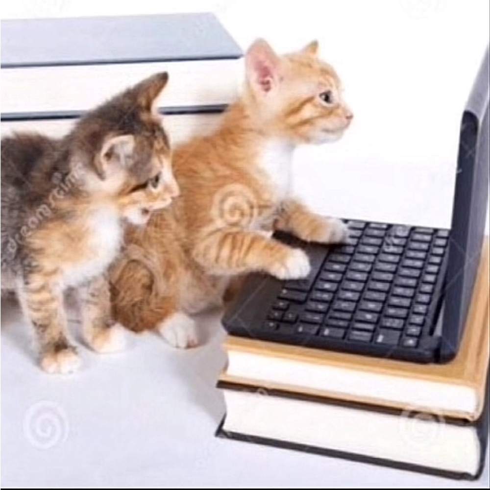 Meet your Posher, Ken